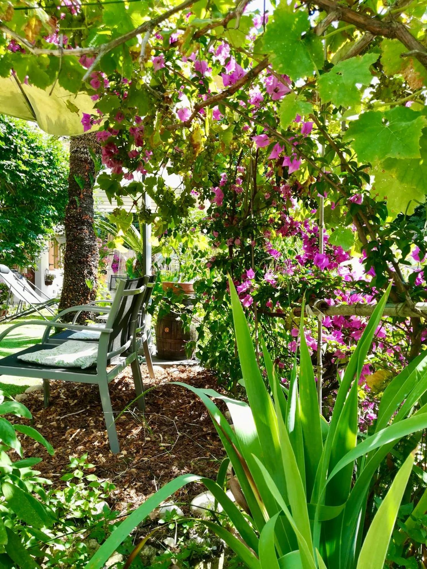 Villa Bellabe Nice Exterior foto
